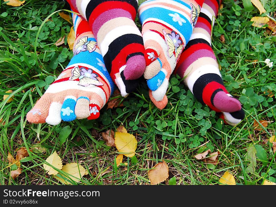 Beauty socks in autumn, on a grass. Beauty socks in autumn, on a grass.