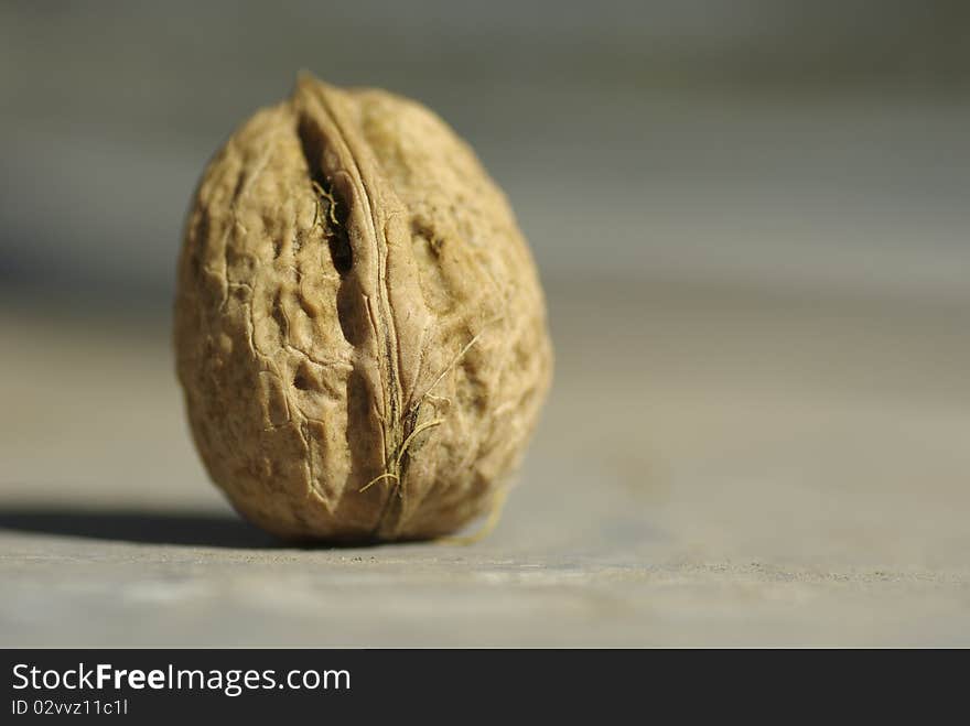 A walnut photographed on a soft background