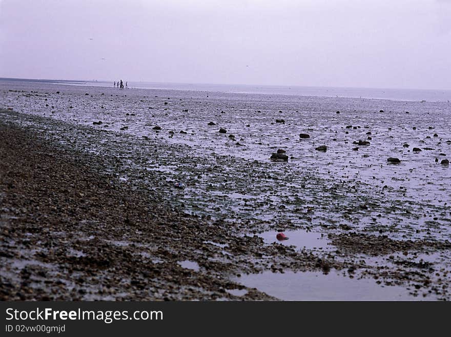 Coastline of northern sea