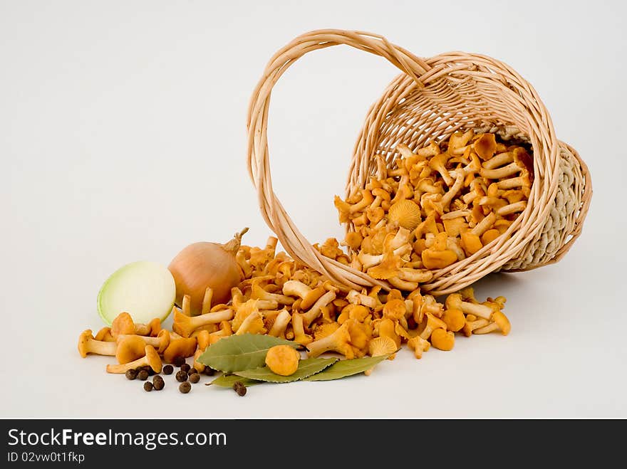 Making preserves of mushrooms with spices. Making preserves of mushrooms with spices