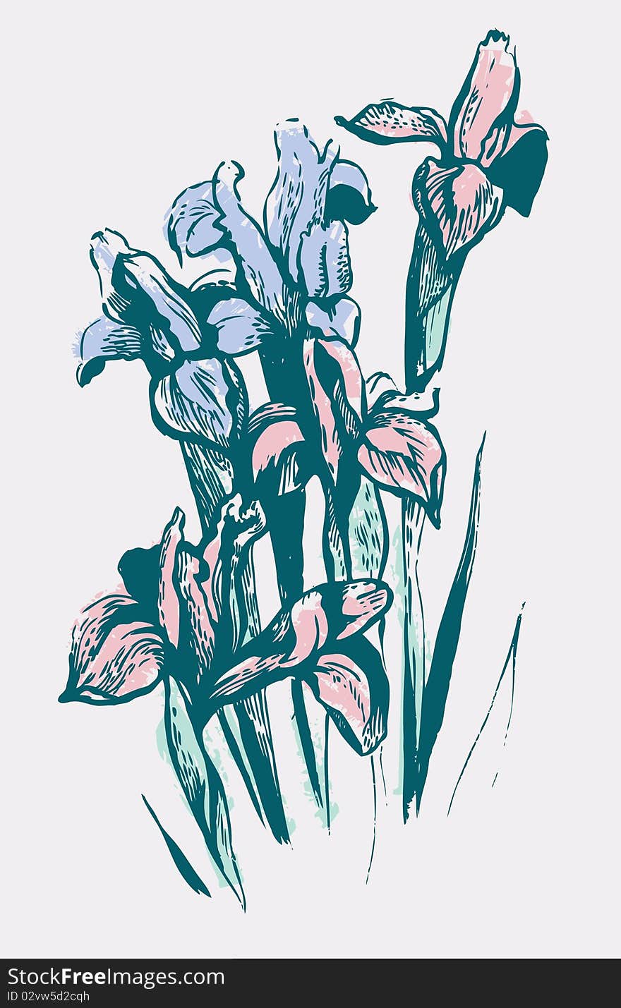 Iris Flowers