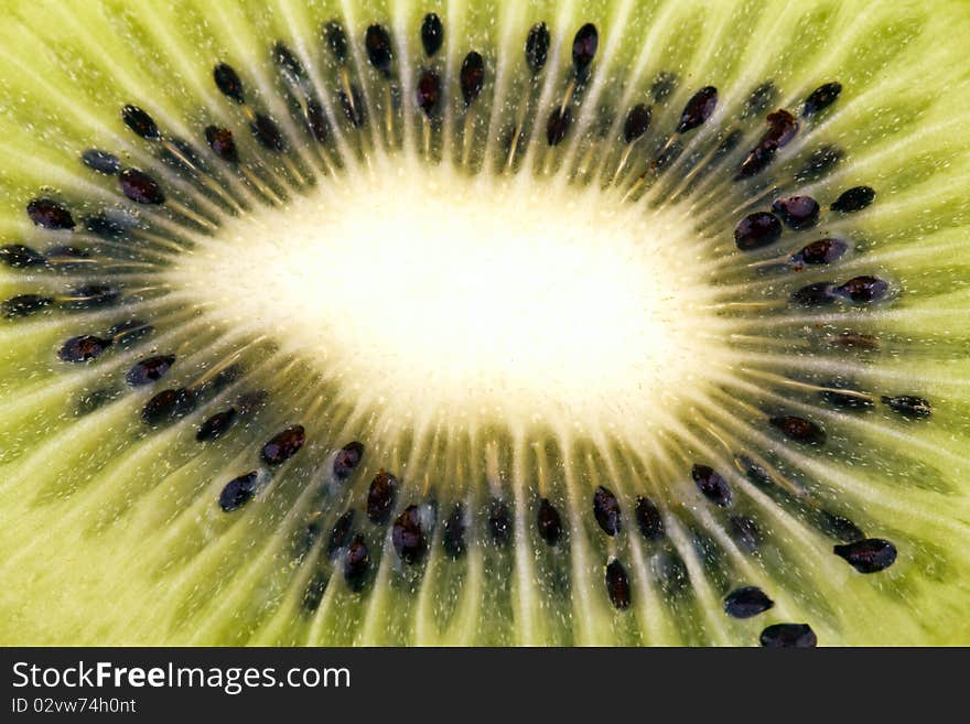 Kiwi closeup