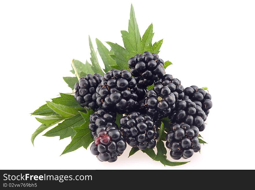 Blackberries with leaves.