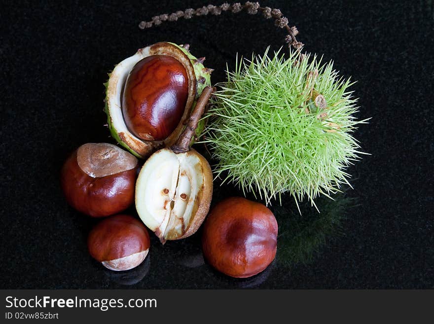 A selection of chestnuts & horse chestnuts against a black background. A selection of chestnuts & horse chestnuts against a black background