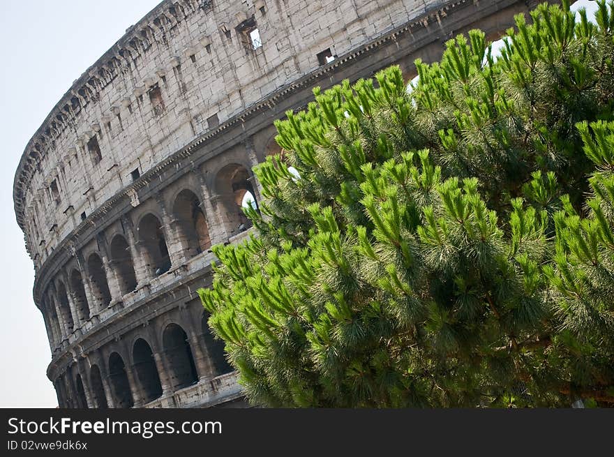 The old colosseum in the antic rome