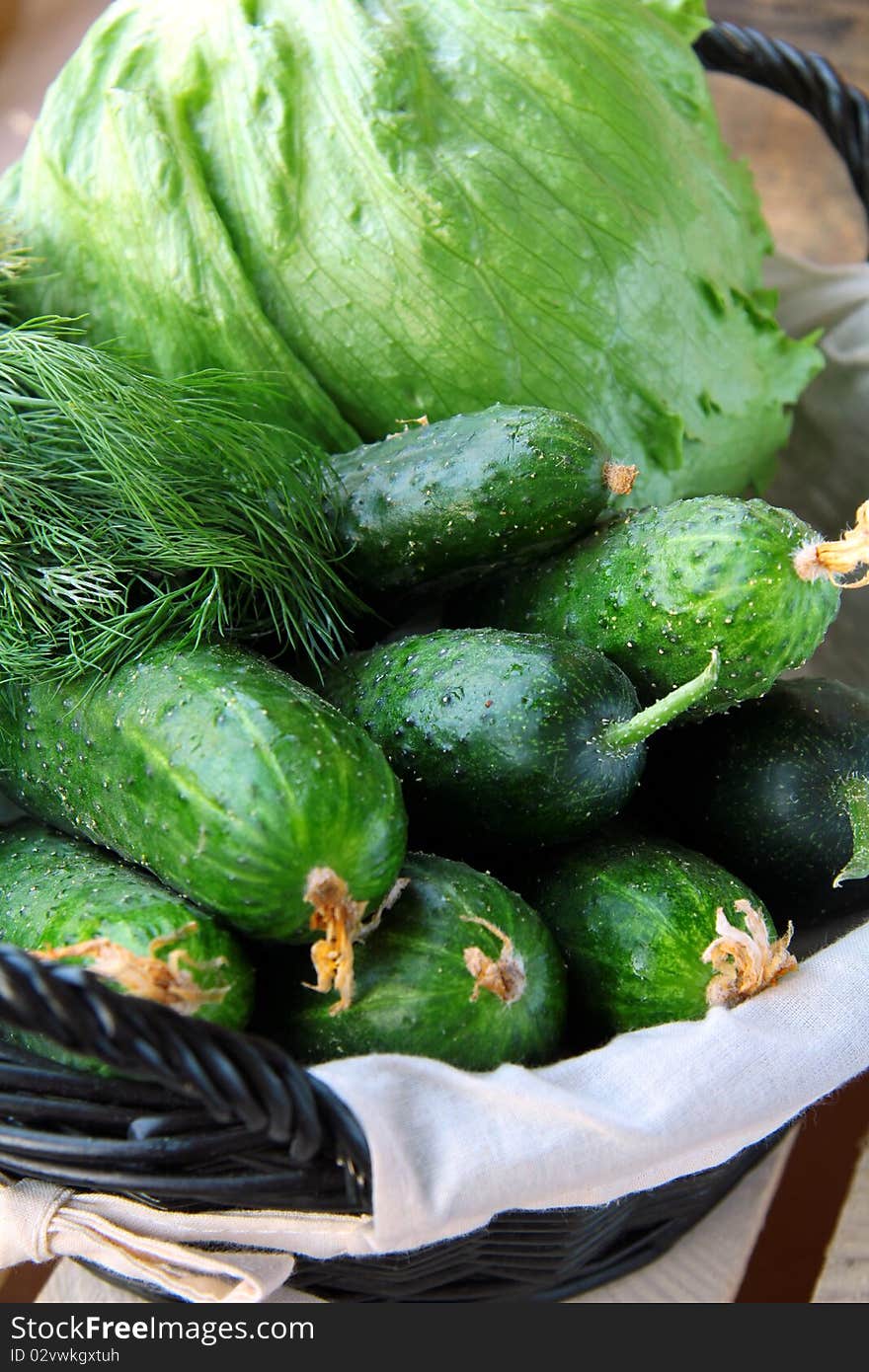 A lot of cucumbers and greens in a large basket