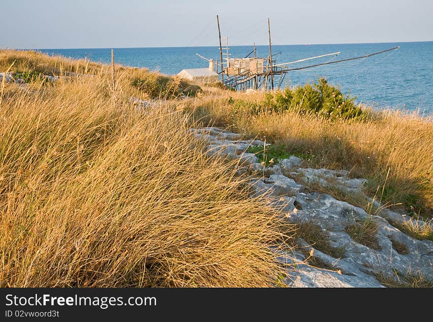 High grass at the blue sea in italy