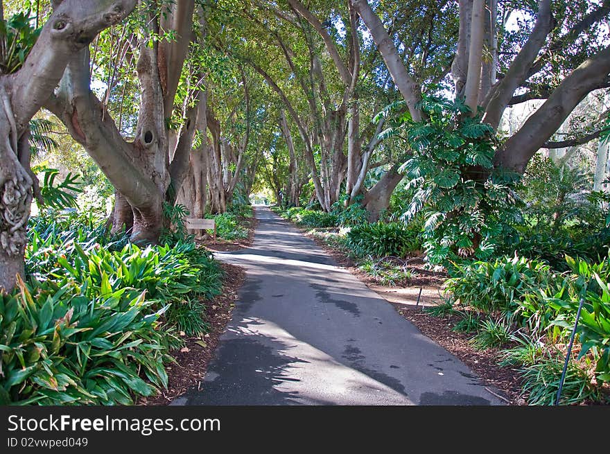 Botanic garden in Adelaide, South australia