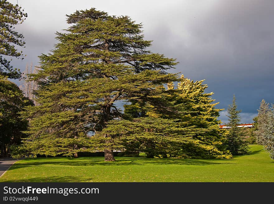 Botanic garden in Adelaide, South australia