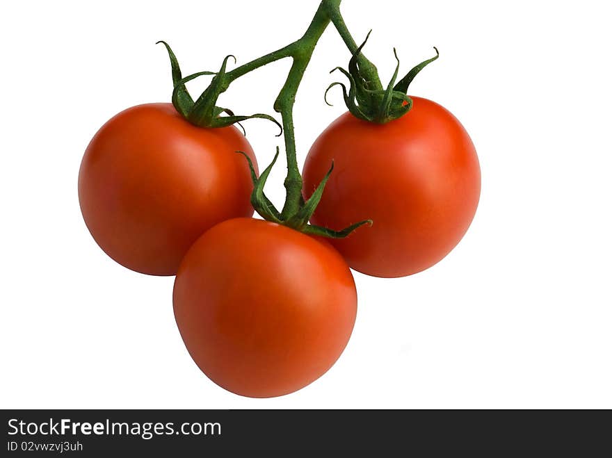 Three tomatoes isolated on white