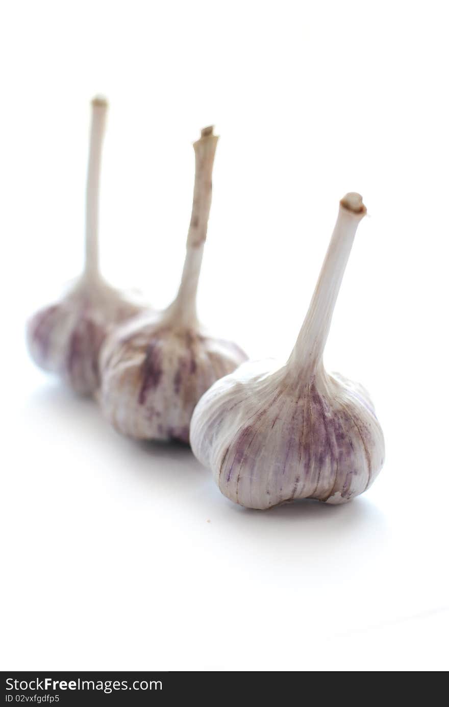 Garlic