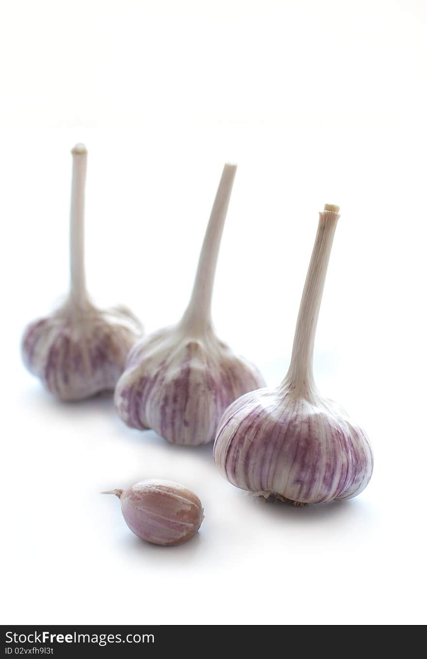 Garlic