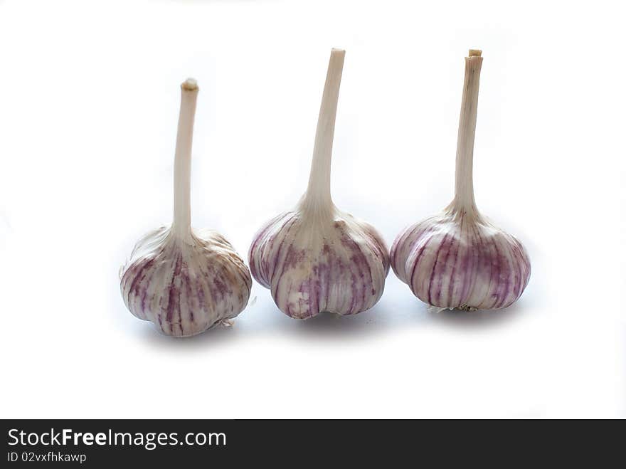 Garlic