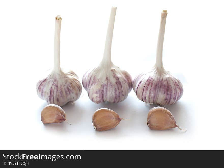 Garlic