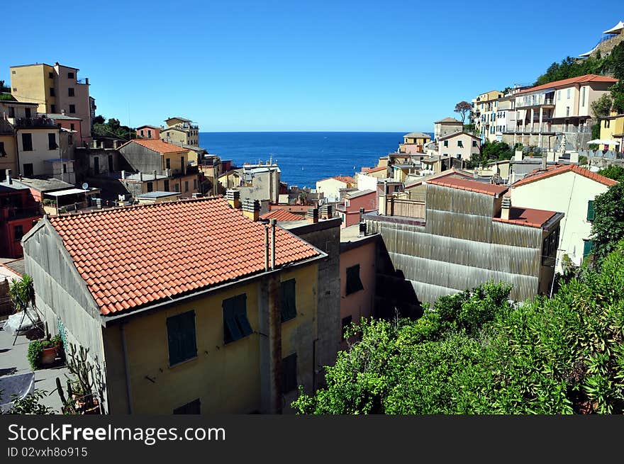 Riomaggiore houses