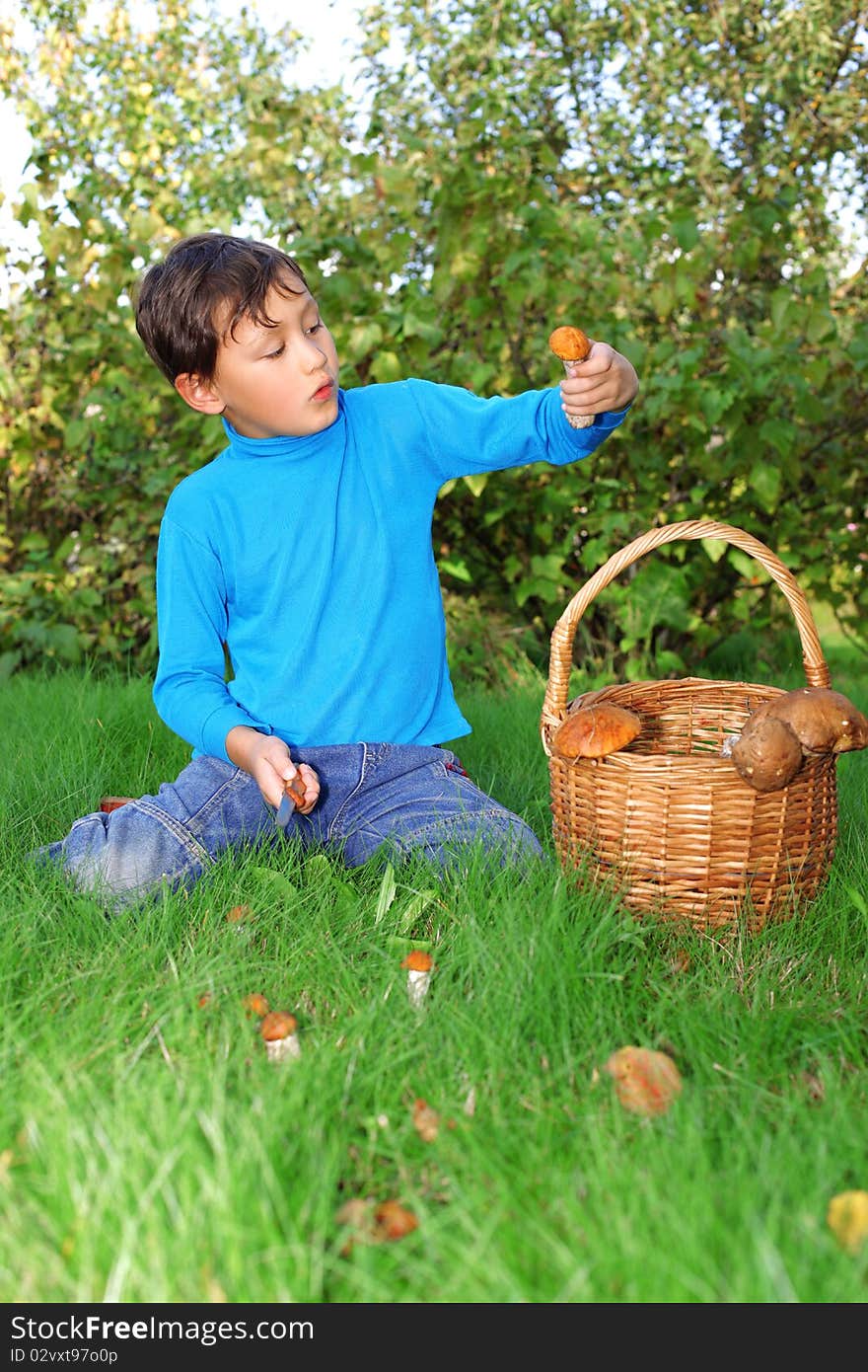 Little boy posing outdoors with mushrooms. Little boy posing outdoors with mushrooms