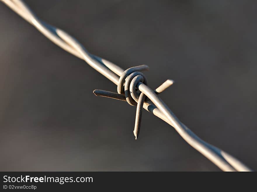 Closeup barbed wire diagonal with dark background