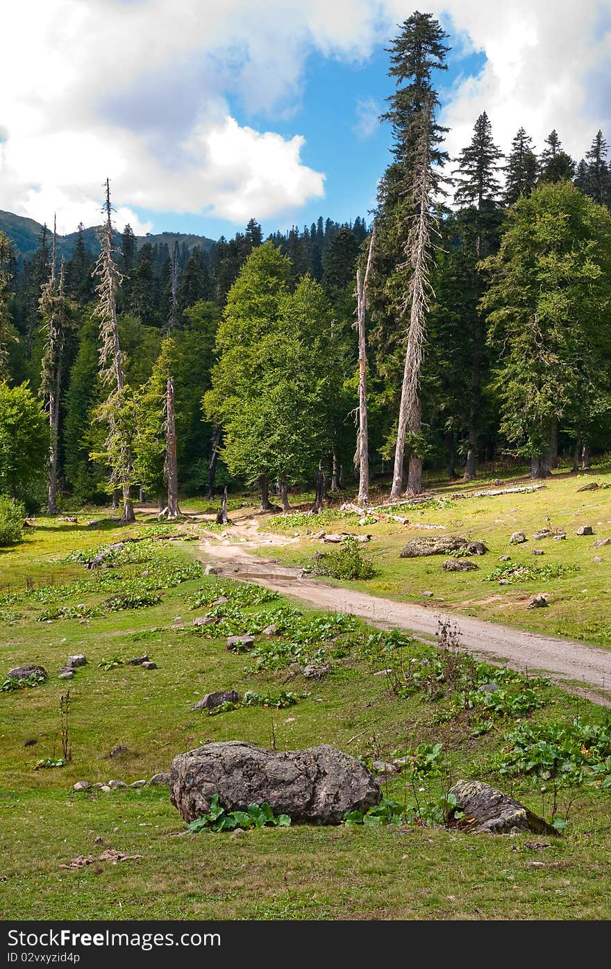 Picturesque valleys above lake Ritsa involve with the beauty and mineral sources of many tourists.Abkhazia. Picturesque valleys above lake Ritsa involve with the beauty and mineral sources of many tourists.Abkhazia.