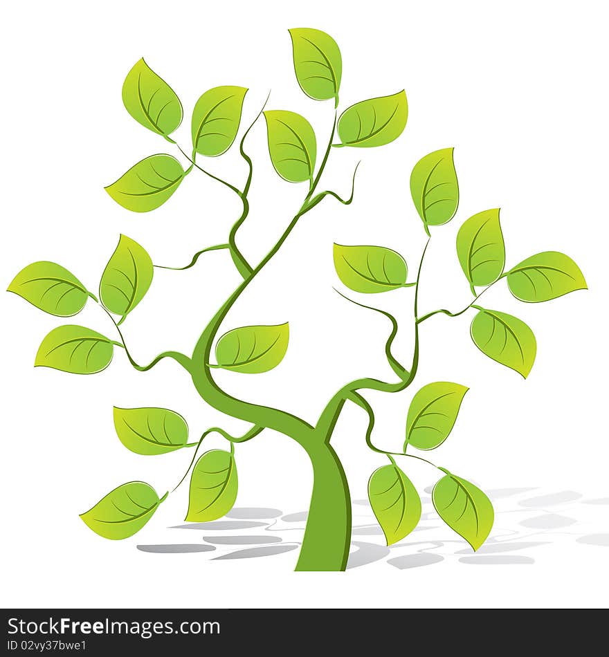 Illustration, single green tree on white background