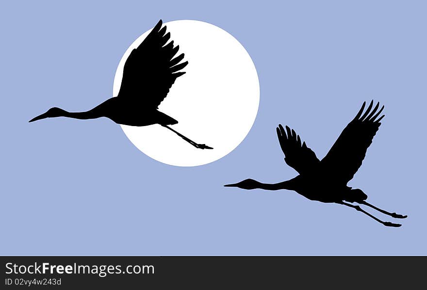 illustration of the cranes