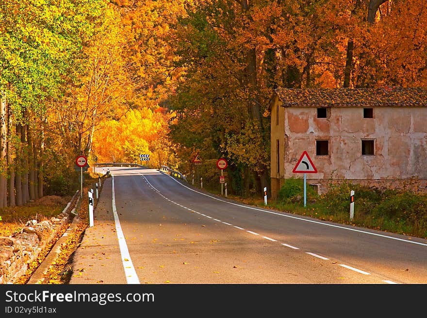 A colorful nice forest in autumn in Spain.