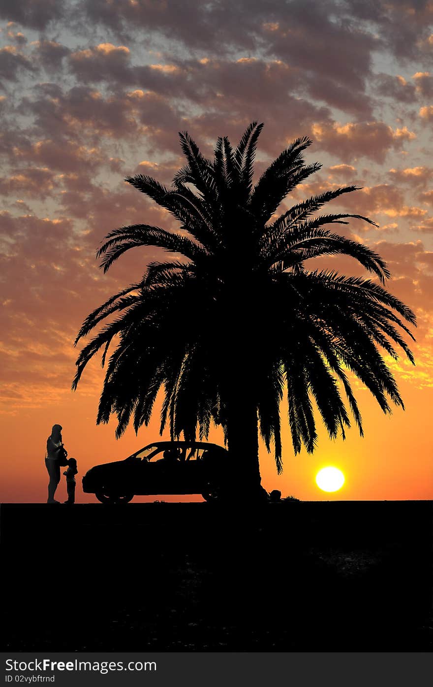 The family under a palm tree admires a solar decline. The family under a palm tree admires a solar decline.