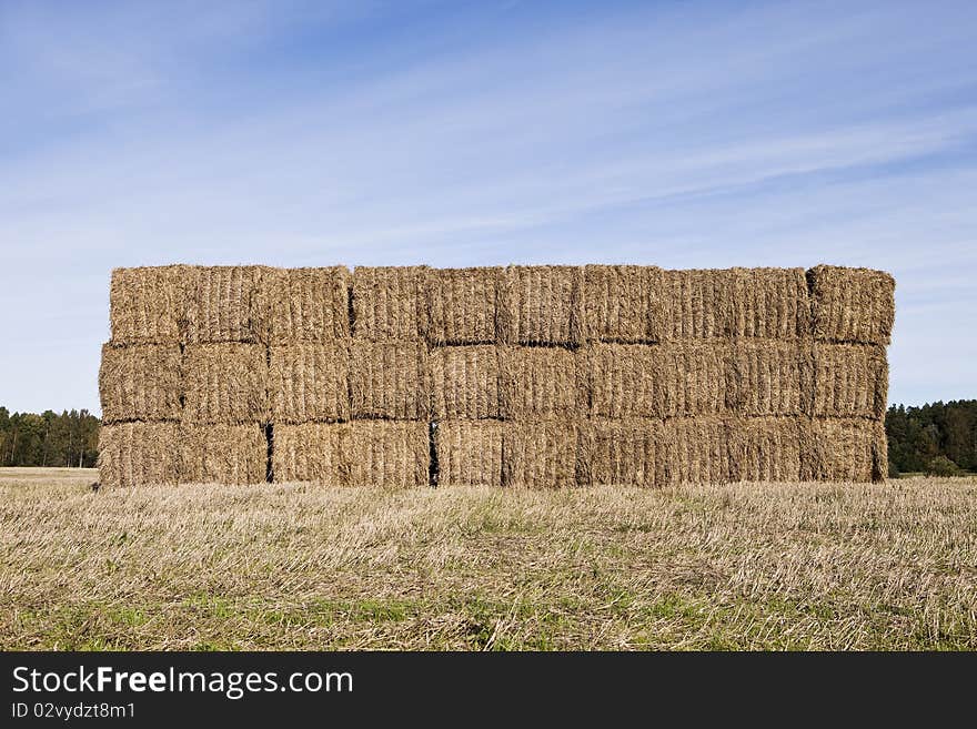 Bale of Haystack on a sunny day