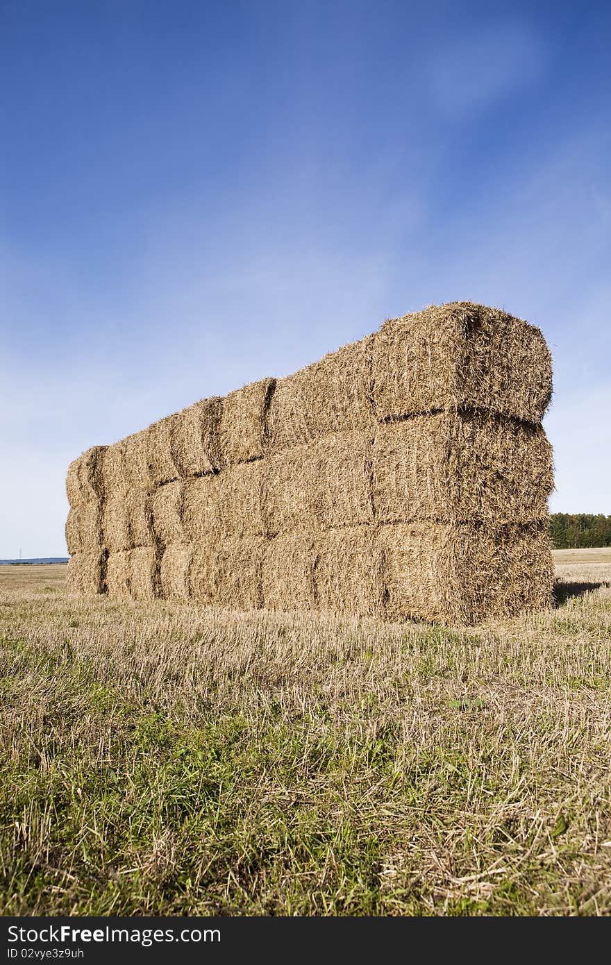 Bale of Haystack on a sunny day