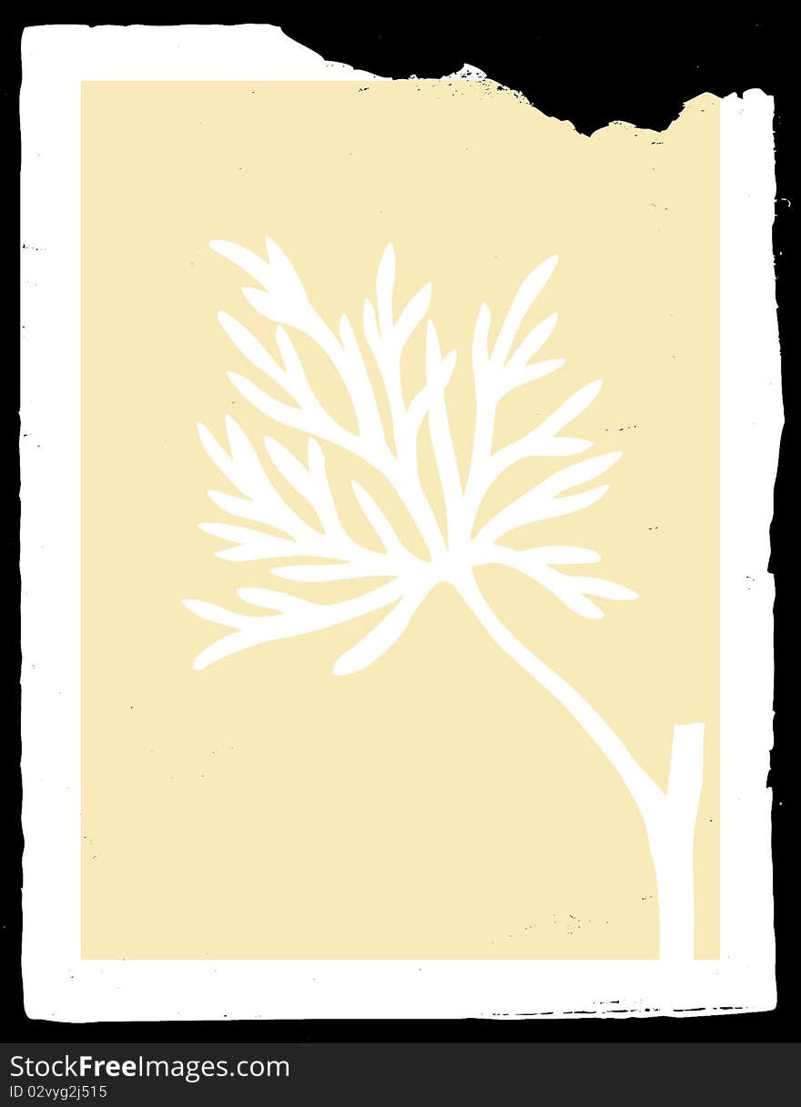 Sheet of the plant on decorative frame. Sheet of the plant on decorative frame