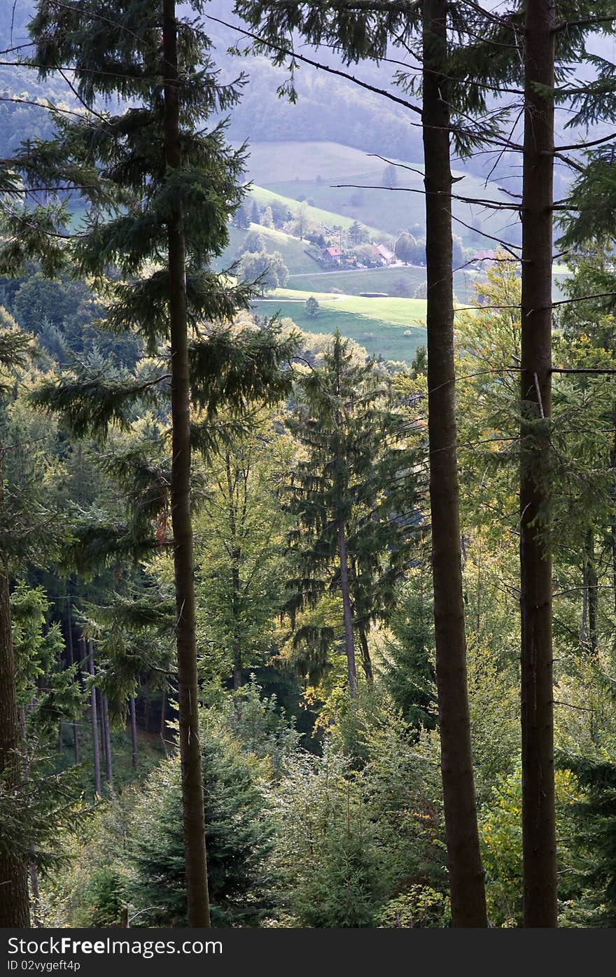 Schwarzwald