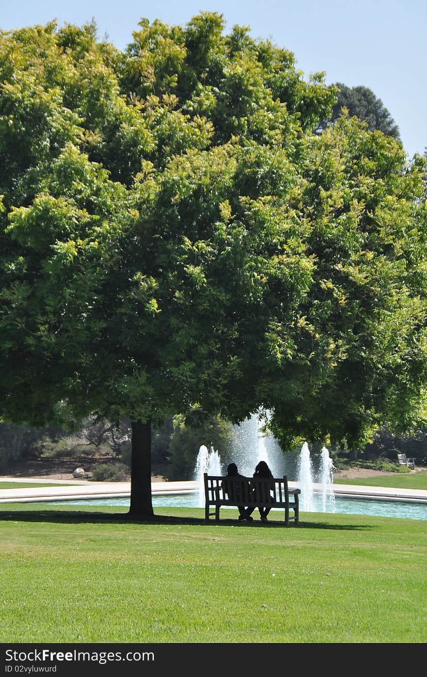 A couple sitting in a park