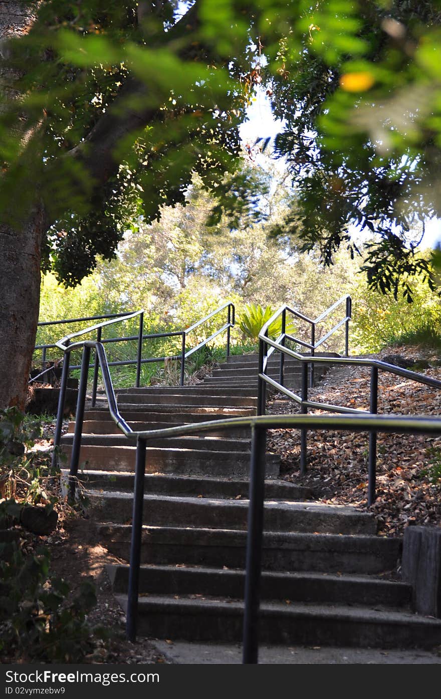 A path in the garden with steps of old stone. A path in the garden with steps of old stone