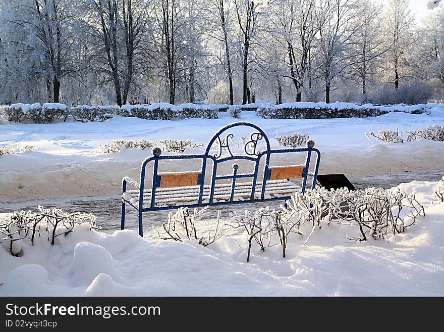 Old bench in winter park