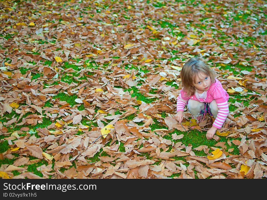 Little girl (3 years old) plays with leaves on the ground. Little girl (3 years old) plays with leaves on the ground