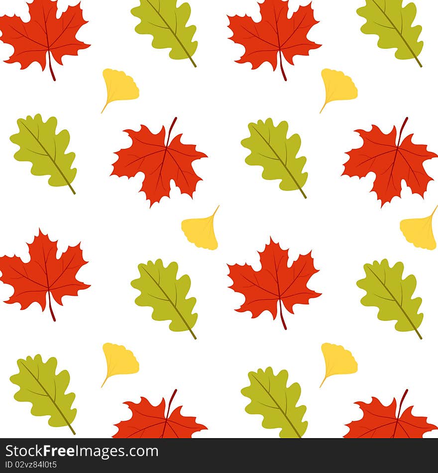 A colorful pattern of autumn leaves. A colorful pattern of autumn leaves