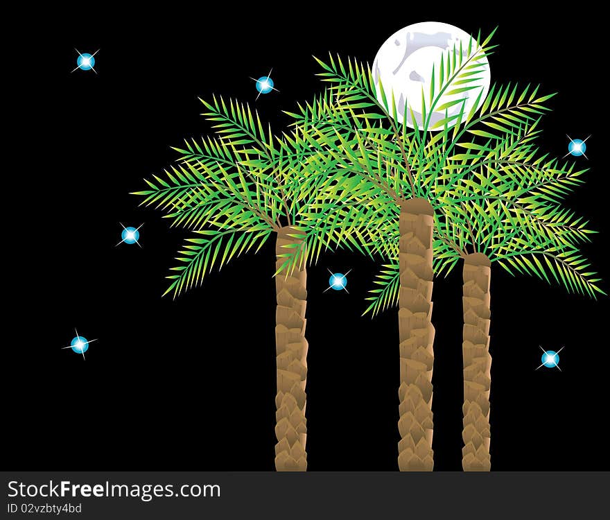 Palms on background of the moon and starry sky