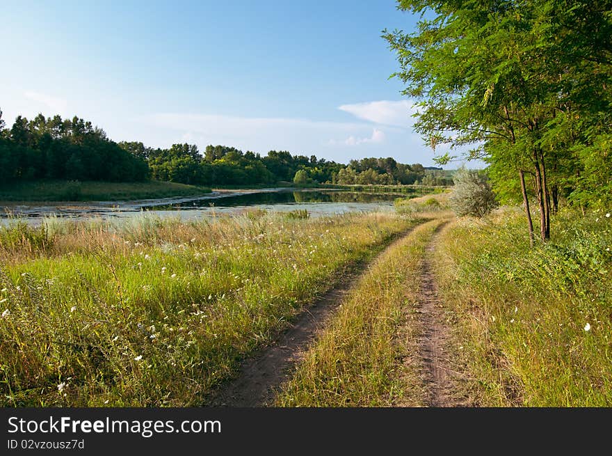 Force of nature. Summer landscape