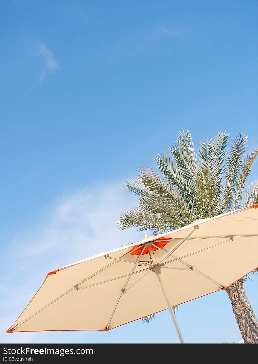 Beach Umbrella and palm against a Background of Blue Sky. Beach Umbrella and palm against a Background of Blue Sky