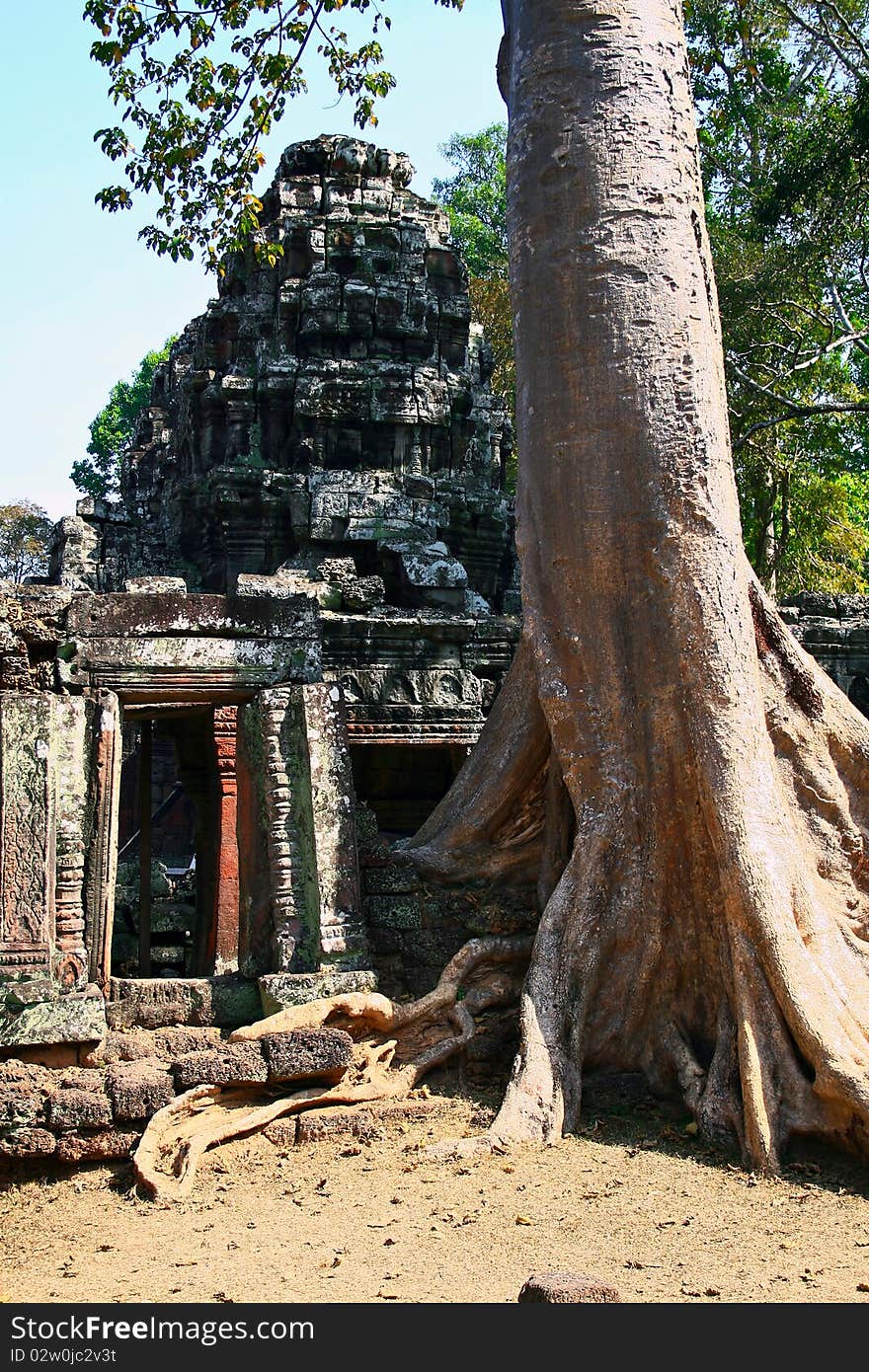 Main door of the Ta Prohm temple, Cambodia. Main door of the Ta Prohm temple, Cambodia