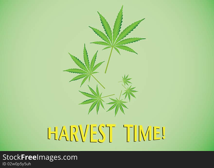 Harvest time cannabis leaf illustration