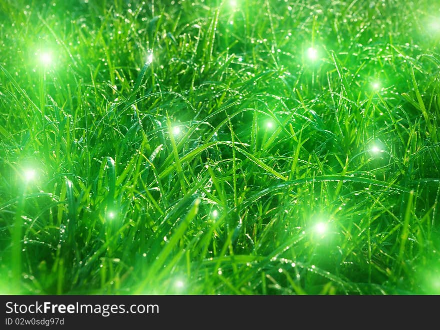 Colored image of green grass with lights. Colored image of green grass with lights