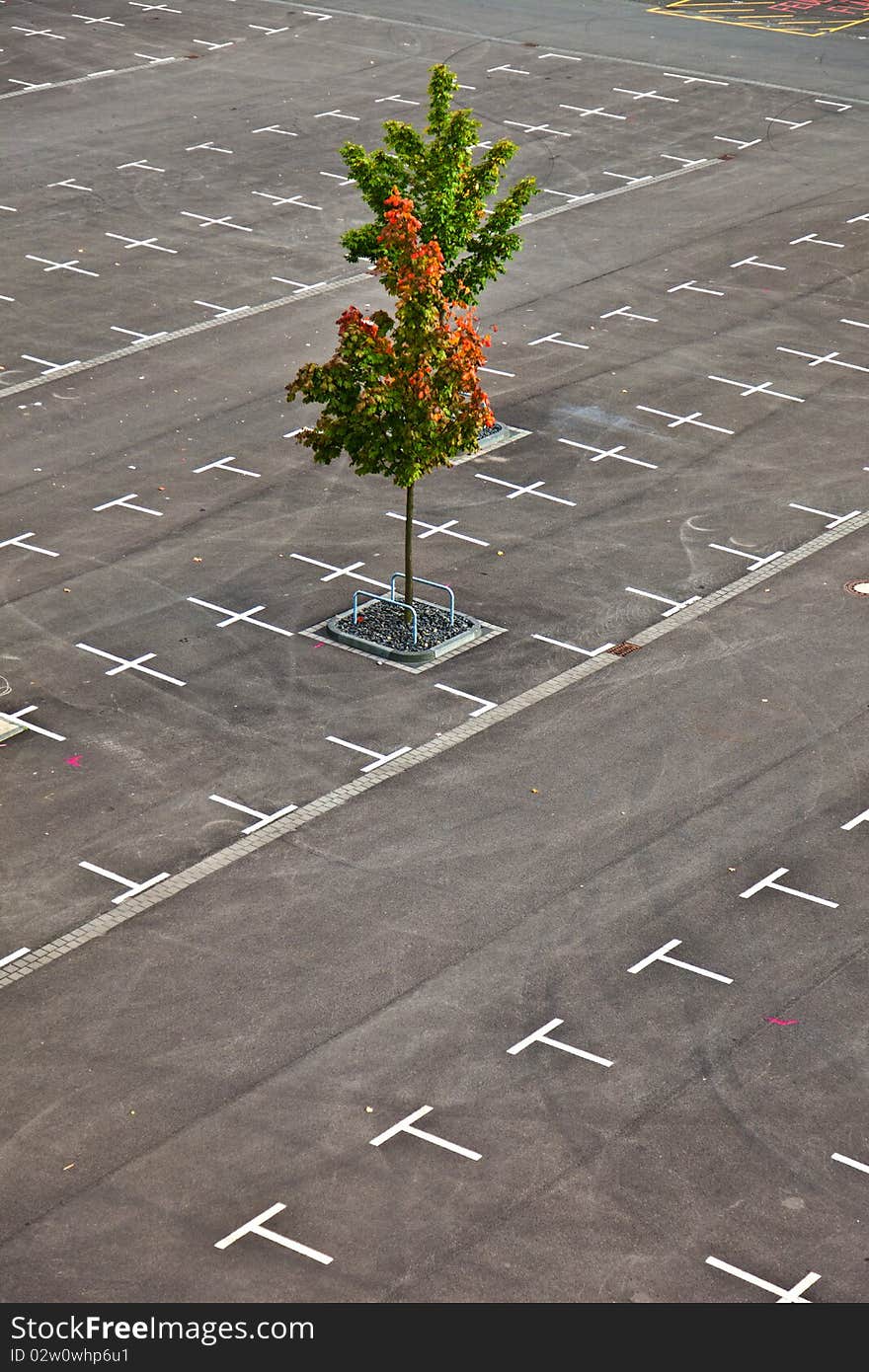 Marked Parking Lot Without Cars