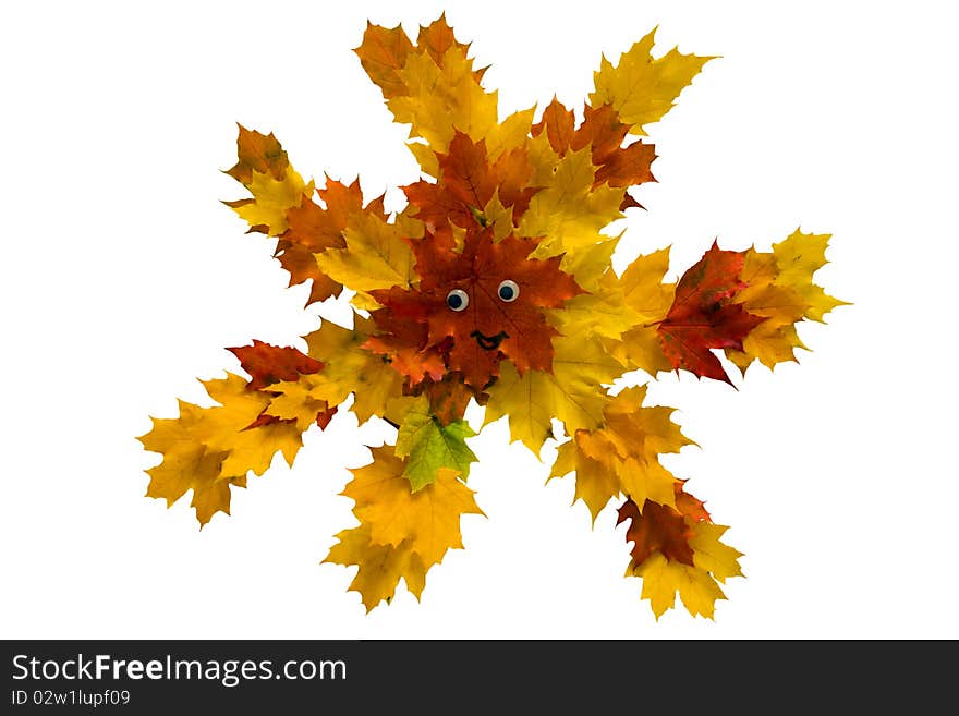 Autumn leaves on a white background