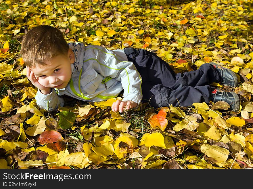 The thoughtful boy lies on autumn leaves