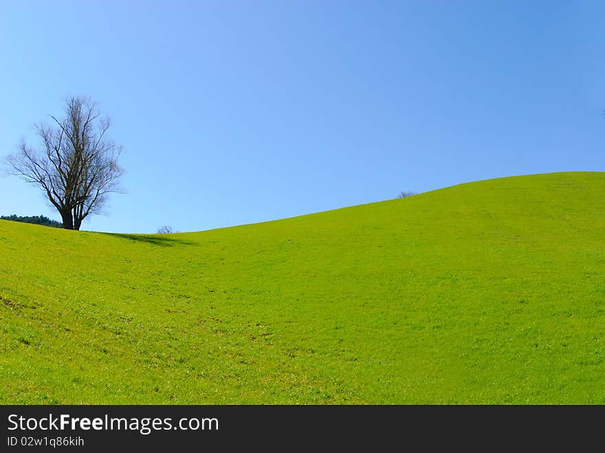 Prairie sky and tree in the nature of Umbria Italy. Prairie sky and tree in the nature of Umbria Italy