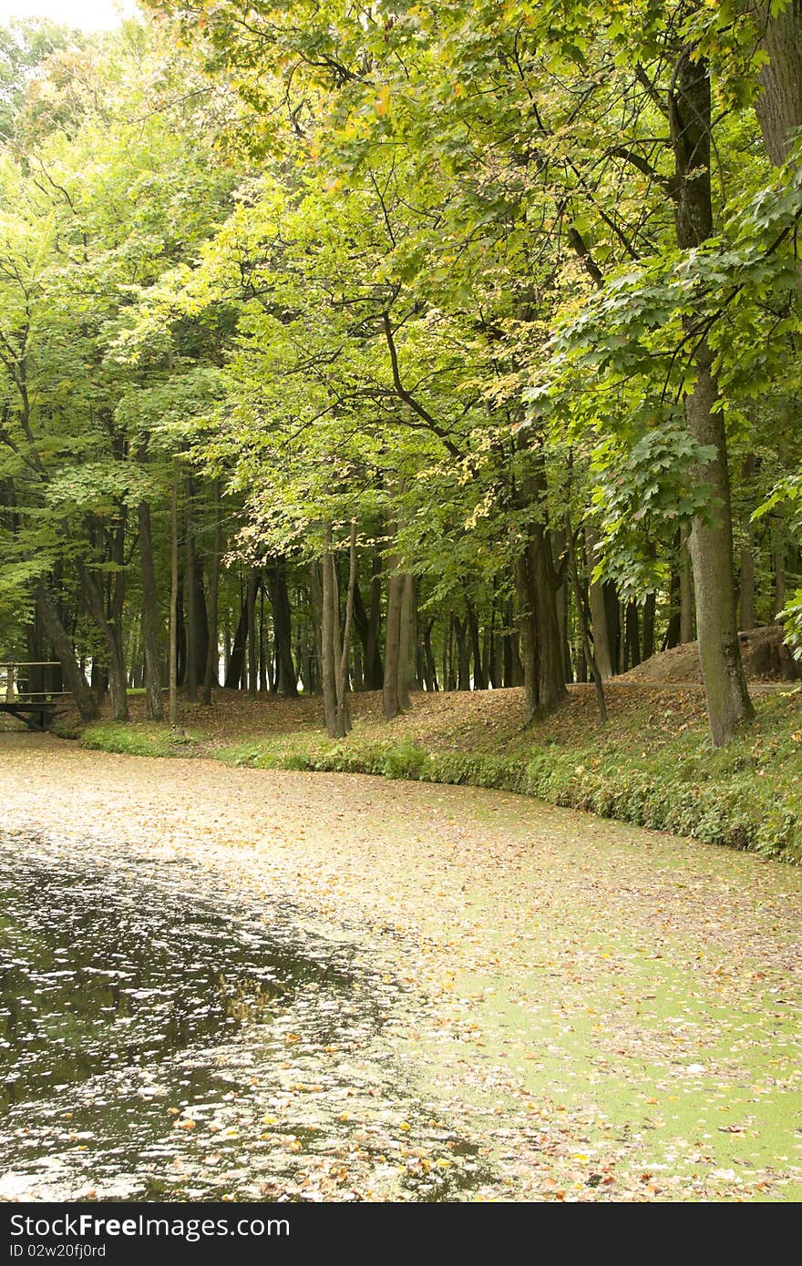 The carpet from yellow leaves lays on water near trees and the bridge. The carpet from yellow leaves lays on water near trees and the bridge