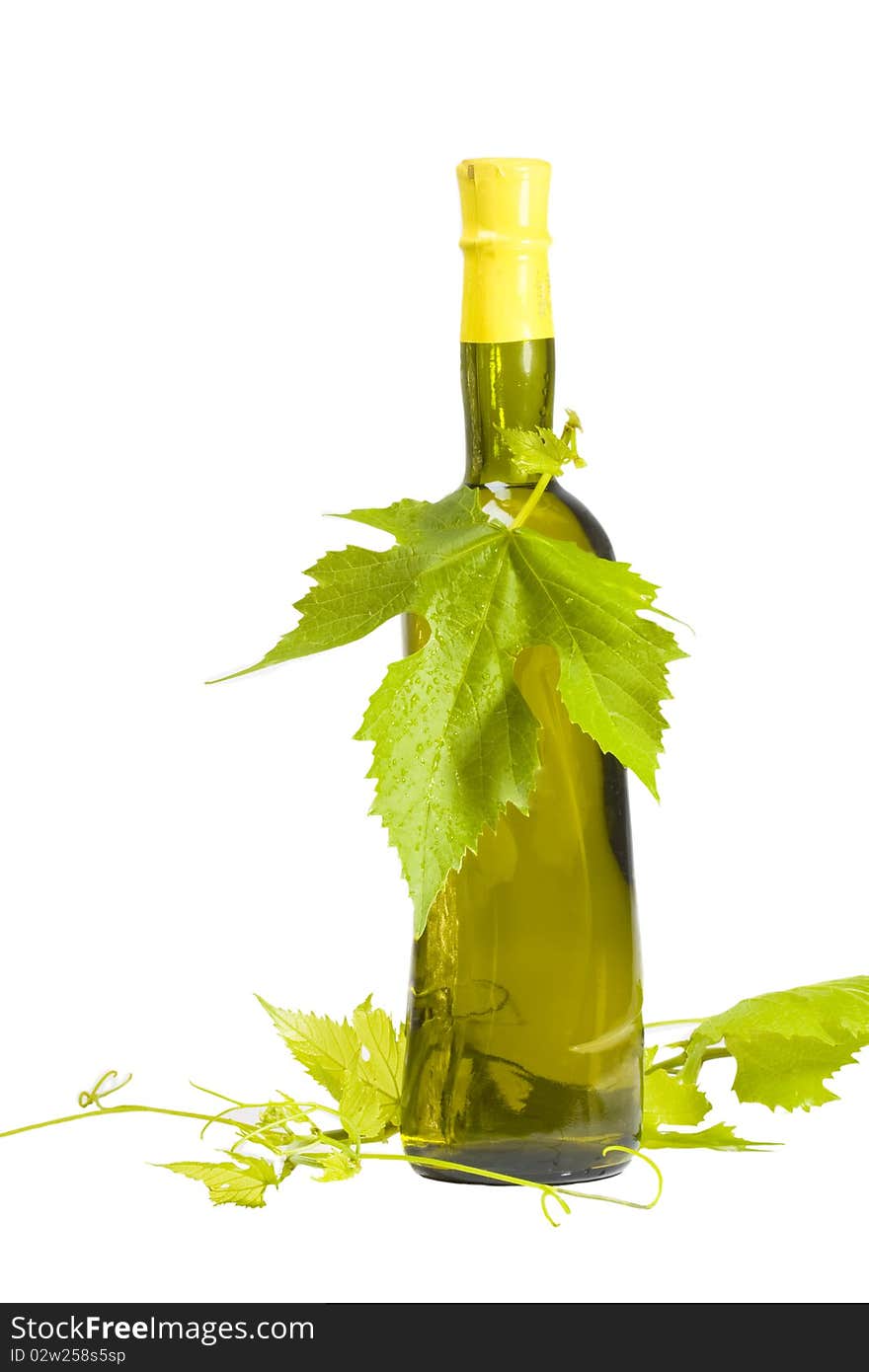 A bottle of wine entangled vine isolated on white background