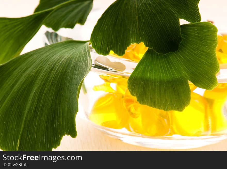 Ginko biloba essential oil with fresh leaves - beauty treatment