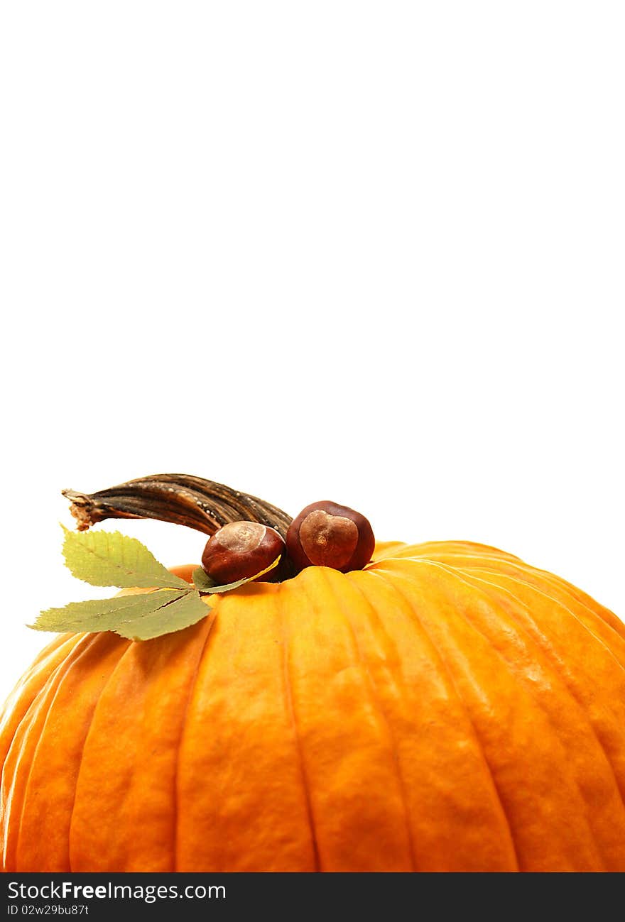 Isolated orange pumpkins for halloween decoration