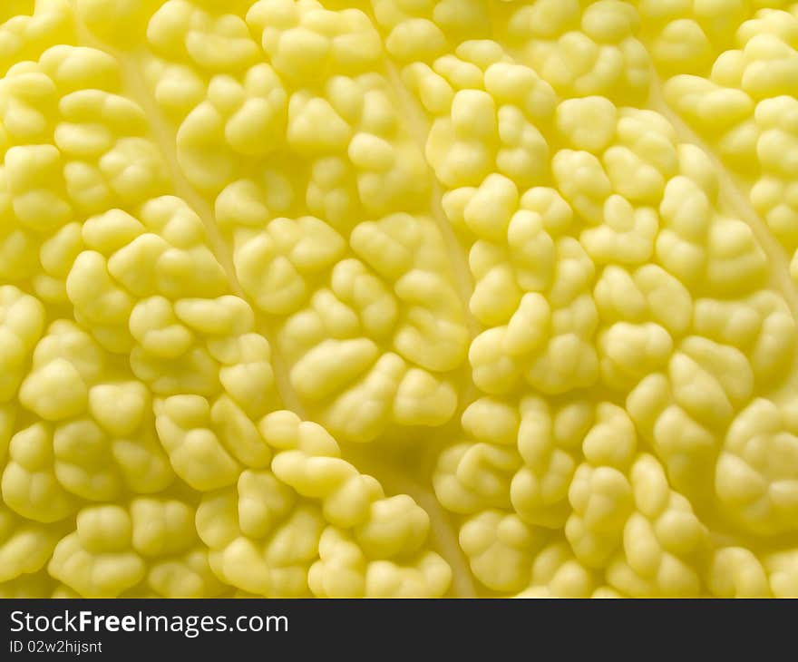 Yellow organic texture closeup background. Yellow organic texture closeup background.